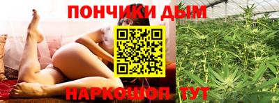 гидропоника Будённовск