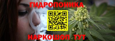 гидропоника Будённовск