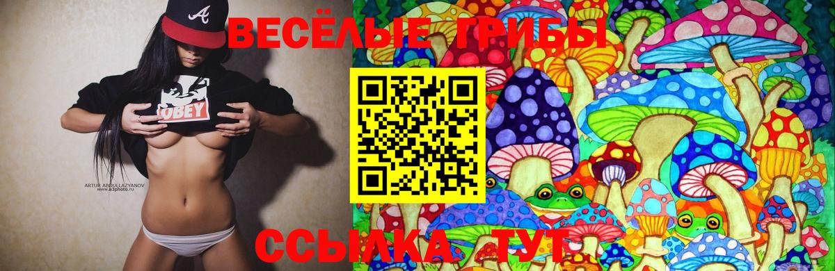 Псилоцибиновые грибы Magic Shrooms Мариинск