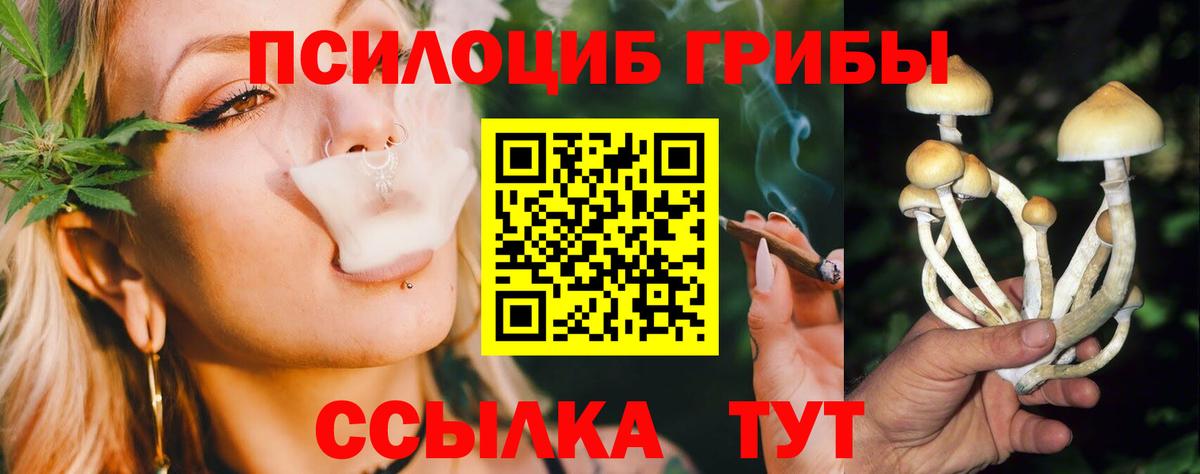 Псилоцибиновые грибы прущие грибы  Галлюциногенные грибы Cubensis  Вход с VPN  Мариинск 