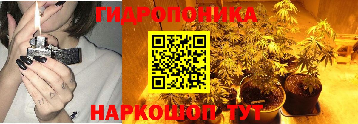 Шишки марихуана гибрид Мариинск
